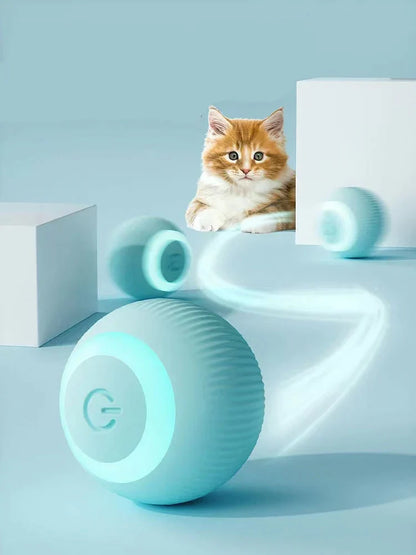 Electronic Pet Toy