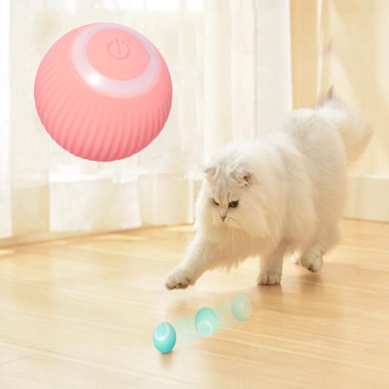 Electronic Pet Toy